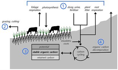 Management of Grazed Landscapes to Increase Soil Carbon Stocks in Temperate, Dryland Grasslands